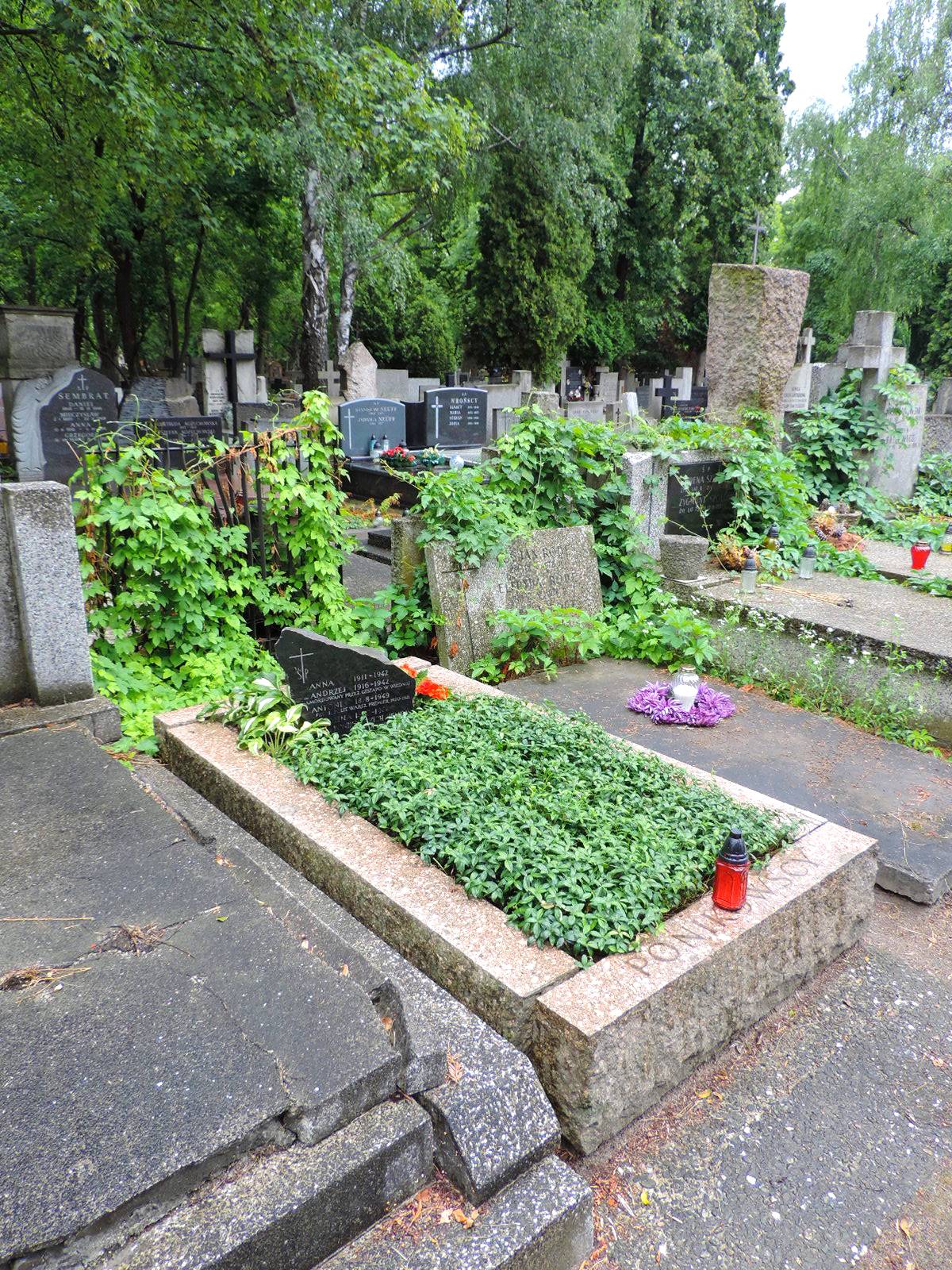 The grave of Antoni Ponikowski - Warsaw