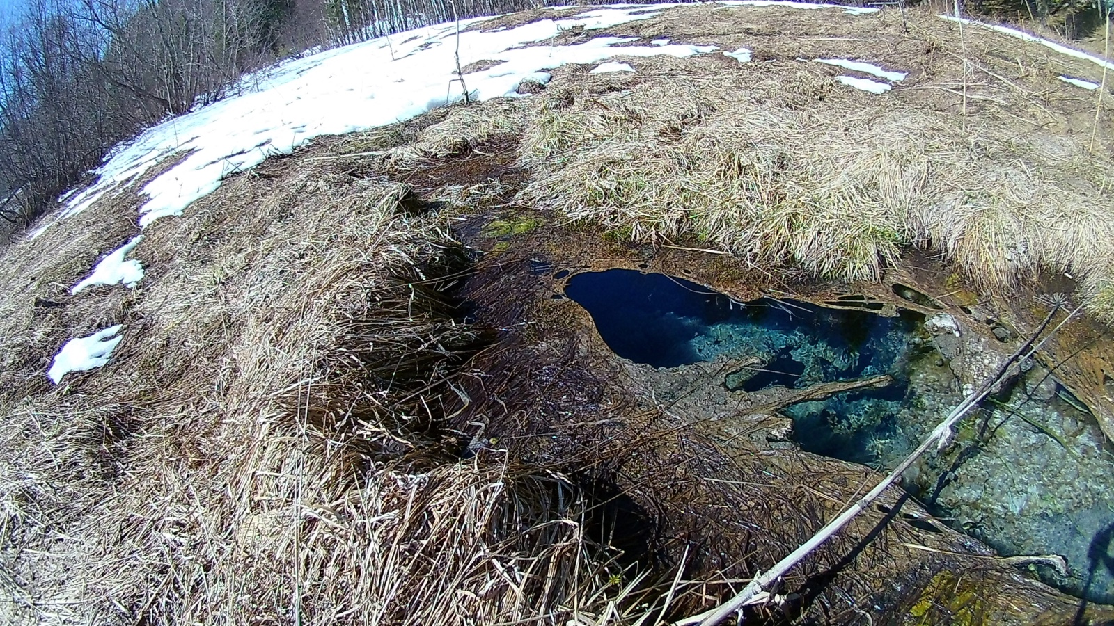 Сероводородное озеро в калуге