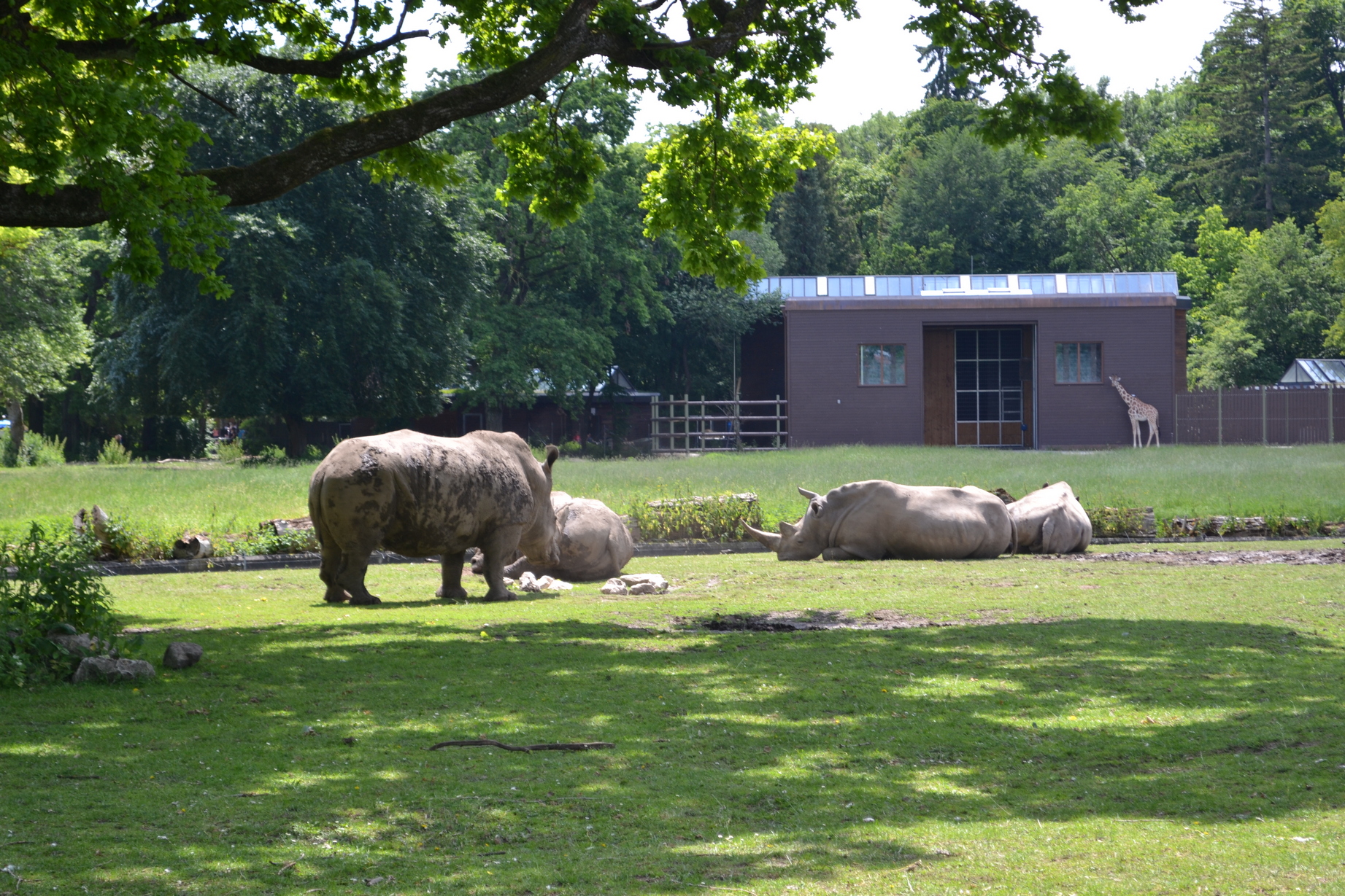 Augsburg Zoo - Augsburg