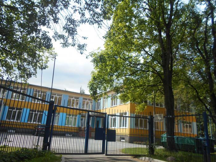Школы 619 санкт петербург