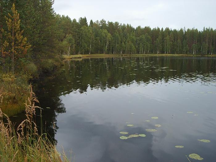 Пудемский пруд в удмуртии фото