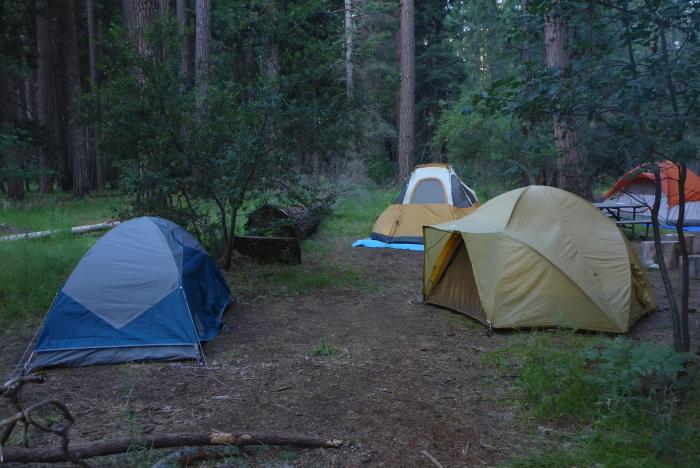 Yellow Pine Group Volunteer Campground