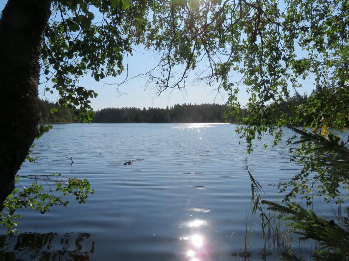Озеро Луговое: отдых на природе в Ленинградской области
