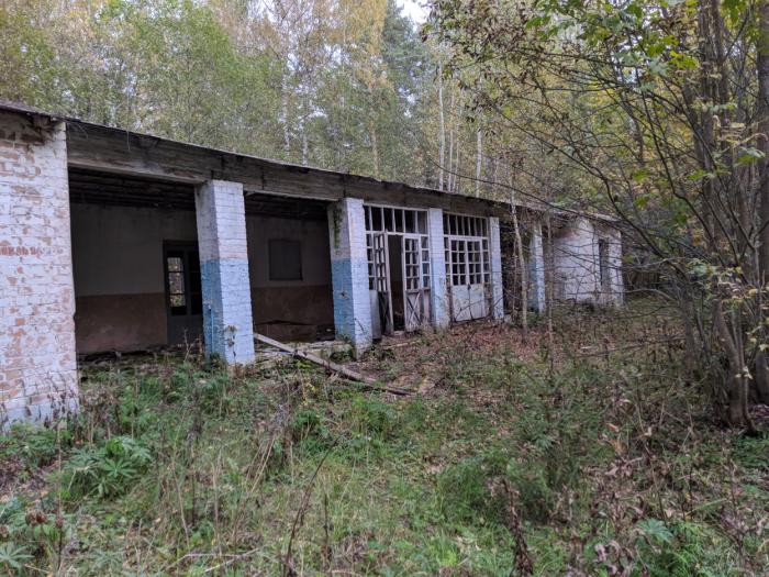 Лагерь березка азнакаево. Пионерский лагерь Березка Московская область Вороново. Лагерь Березка Собинский район. Лагерь Березка Северск. Лагерь берёзка в Михнево.