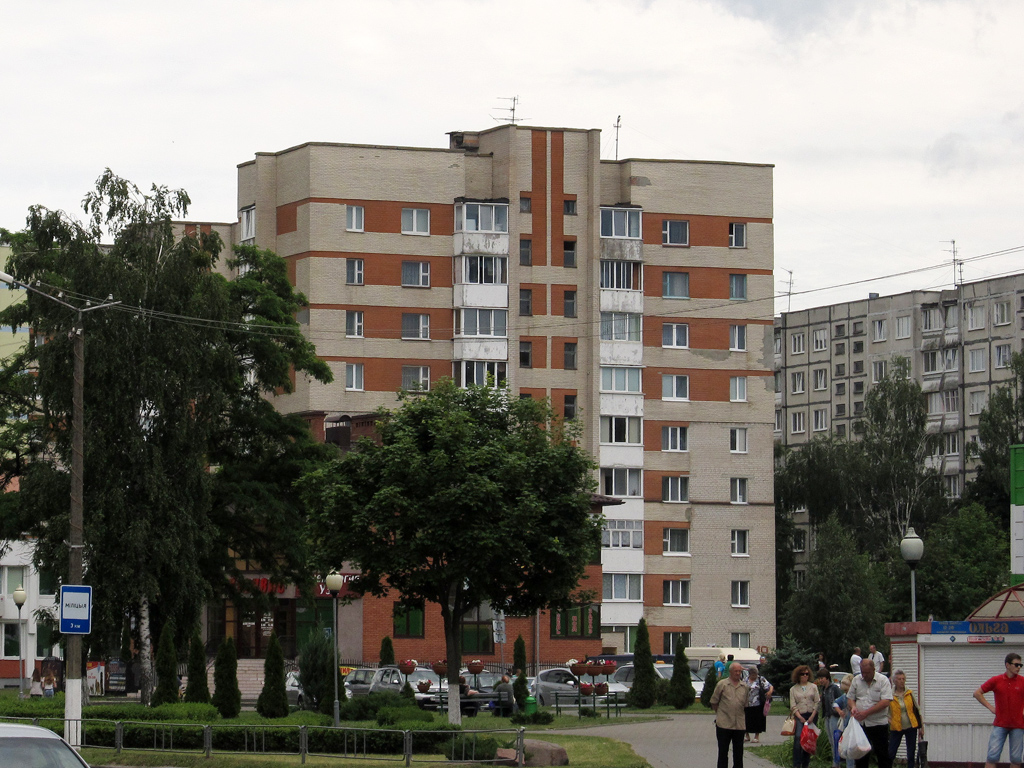 Пинск на длительный срок. Пинск улица Центральная. Центральная 80 Пинск. Пинск улицы центр. Пинск улица Северная дом 22.