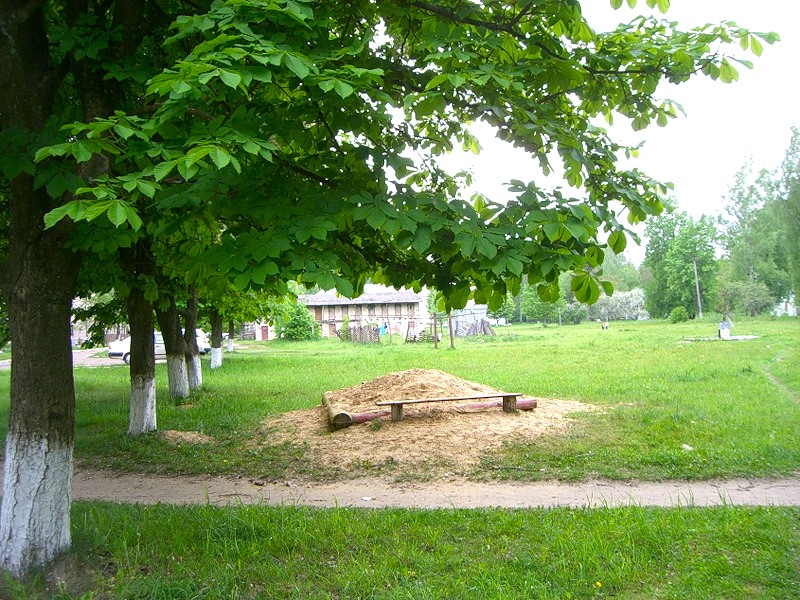 Погода в ясени осиповичского. Деревня Лапичи Беларусь.