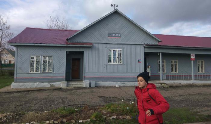 Погода в нижнем пальнике пермского края. Станция Пальники Добрянский район. Станция Пальники Пермский край. ЖД станция Пальники. Полазна ЖД станция.