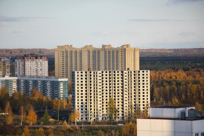 Фото на паспорт в девяткино