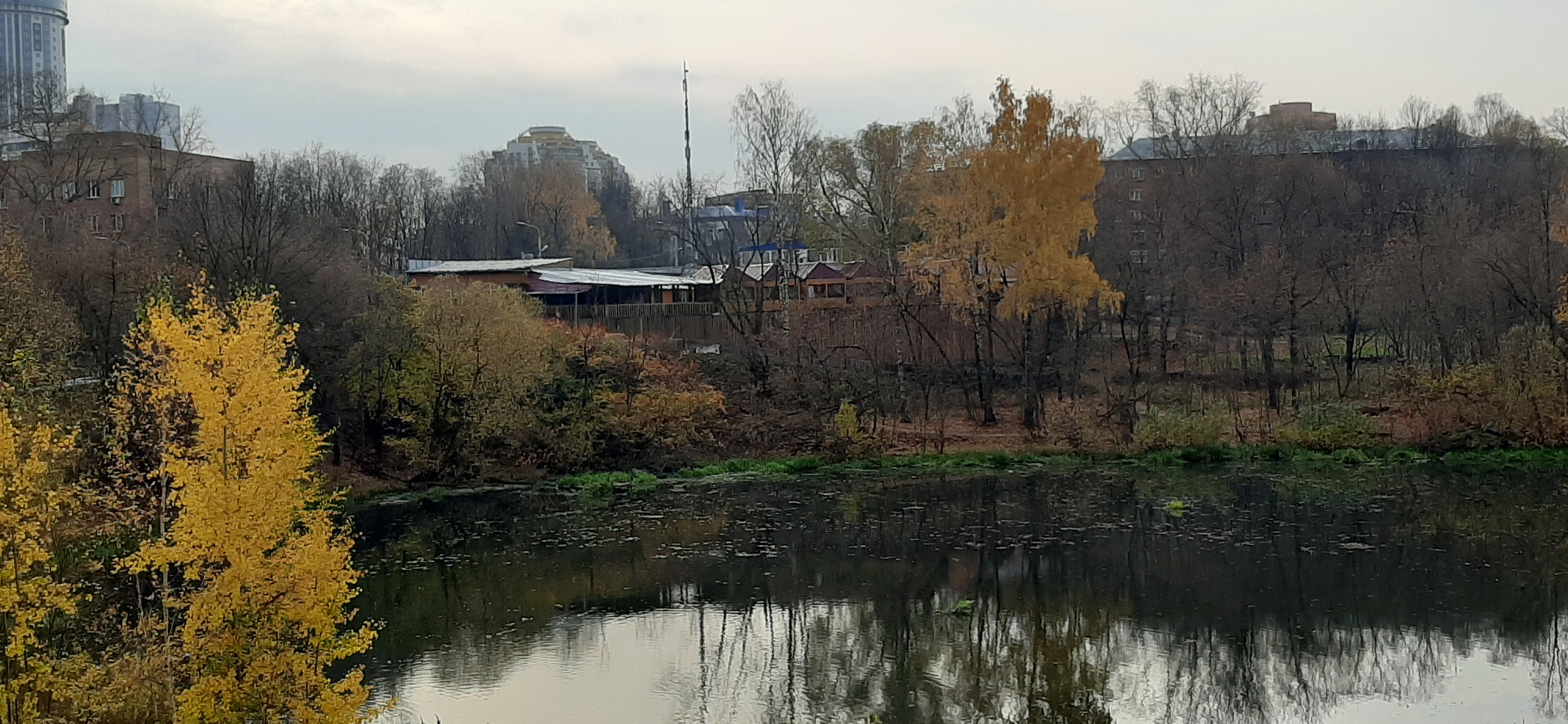 кафе старбеево химки