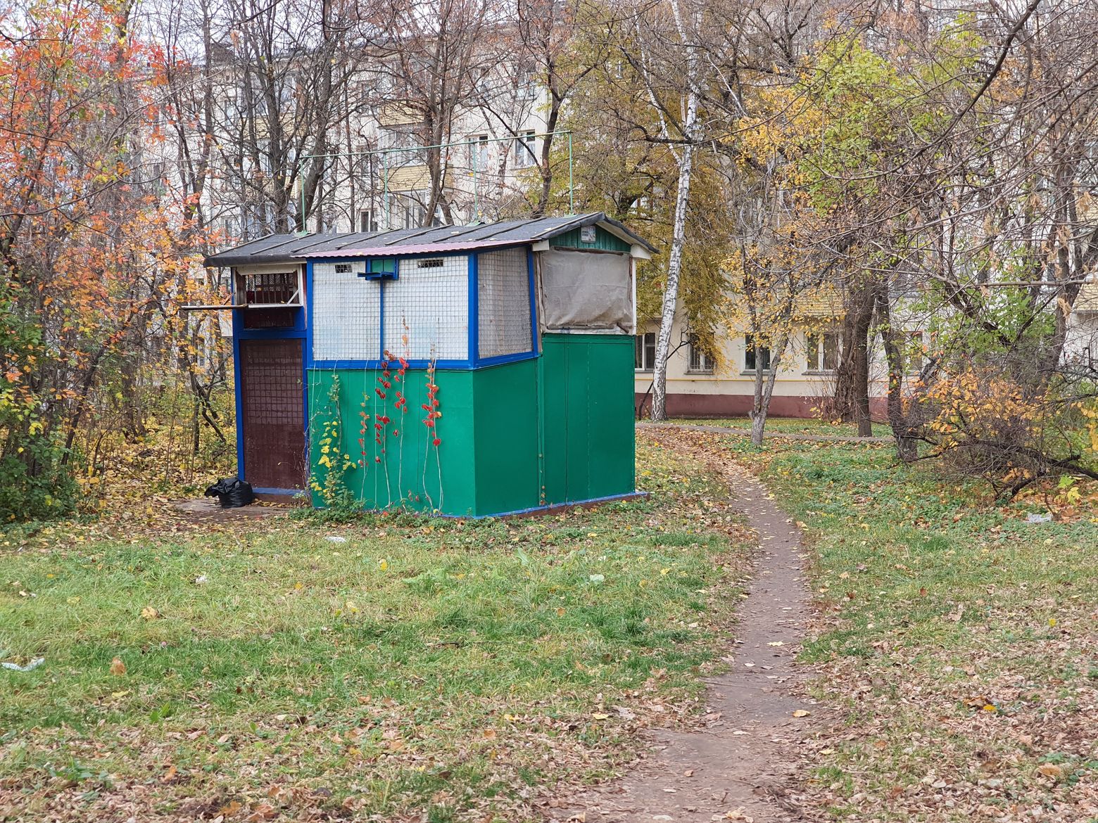 Голубятни в москве