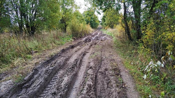 Урочище горки. Красная горка Тосненский район. Урочище красная горка Ленинградская область. Красная горка Ленинградская область Тосненский район. Деревня красная горка Тосненский район.