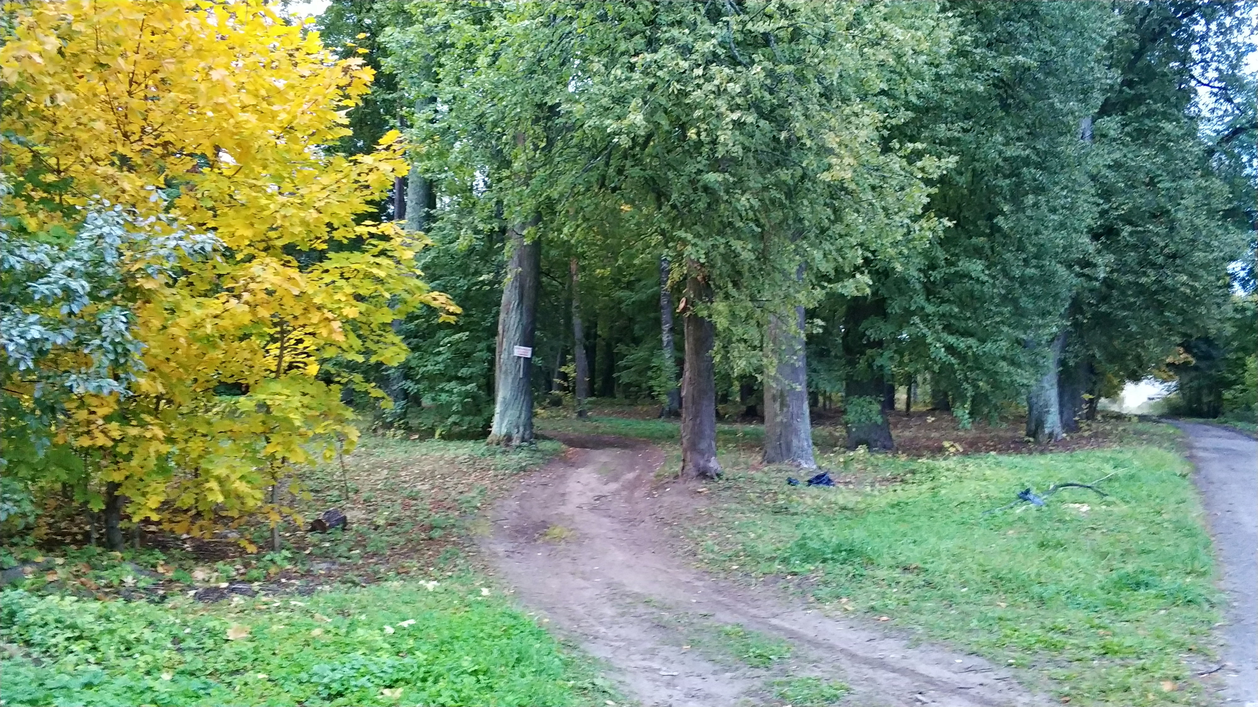 Тосненское городское поселение. Усадьба КНЯЖЕЛИСИНО. Усадьба Новолисино. Новолисино усадьба Юсуповых. Новолисино достопримечательности.