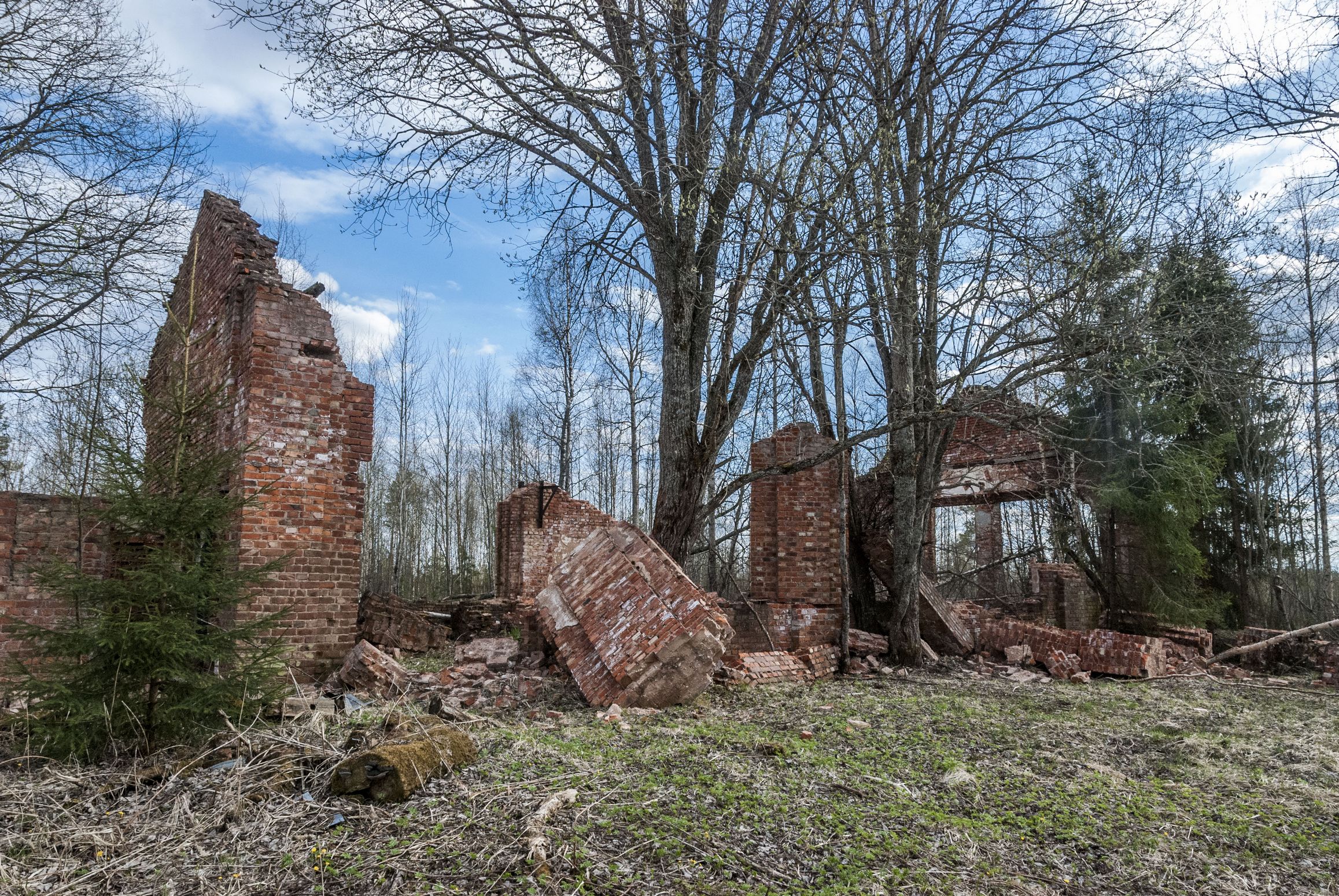 парк лапса томилино