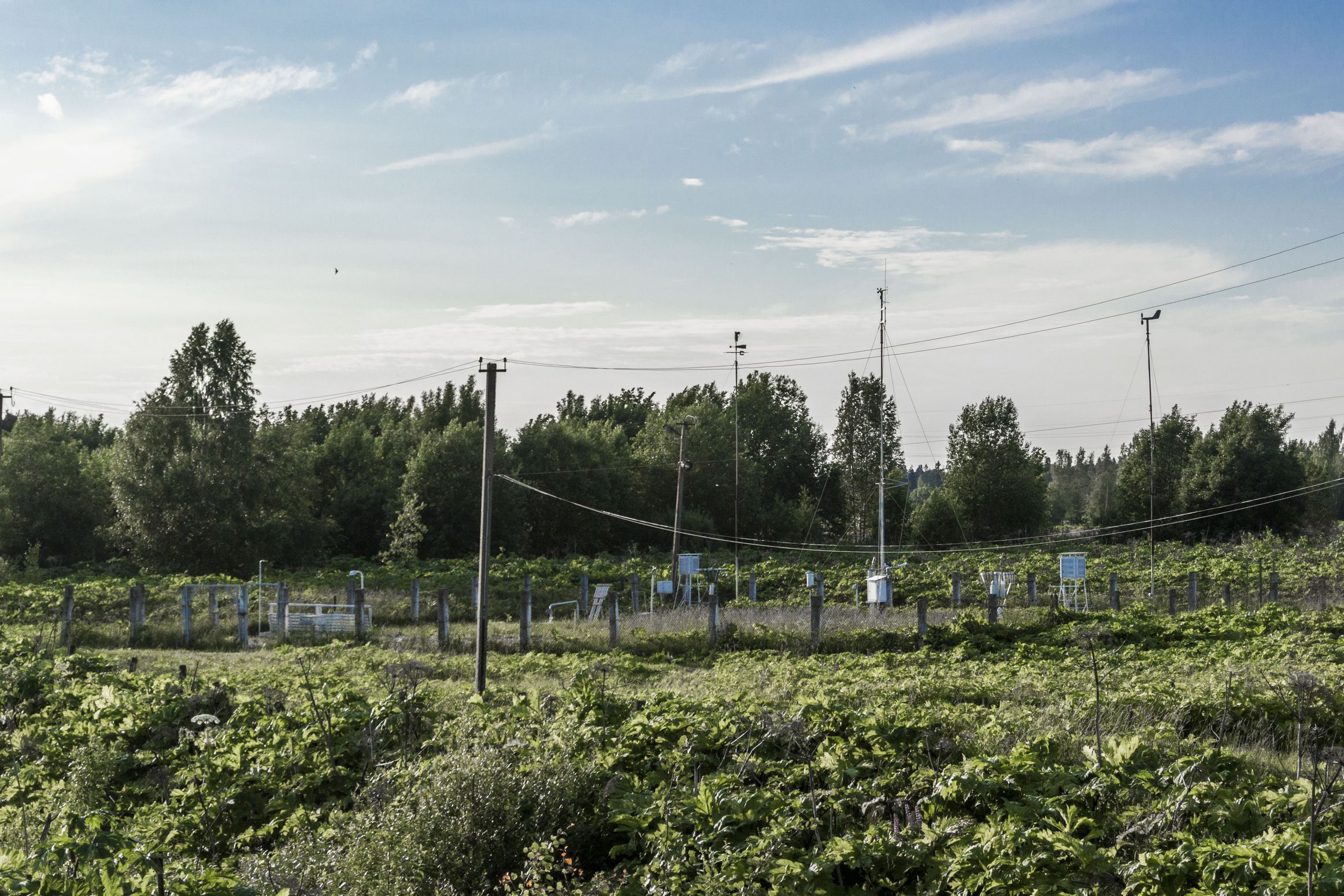 усадьба в белогорке гатчинский район. белогорка усадьба демидовых. метеостанция белогорка гатчинский. усадьба елисеевых в белогорке. метеостанция белогорка гатчинский.