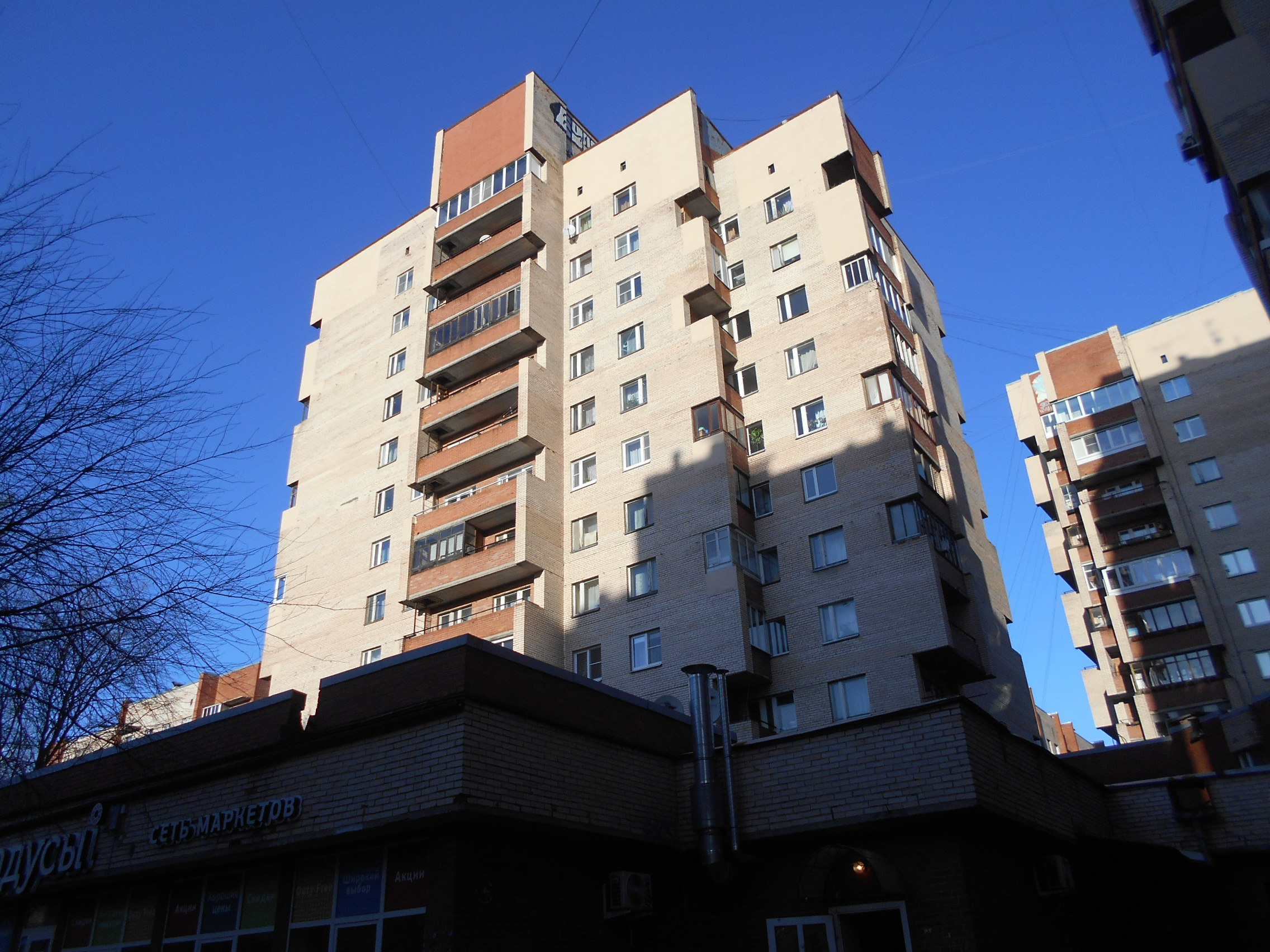 Пятёрочка, петергоф, ботаническая улица. Ботаническая, 18, корп. Николаевская больница в петродворце. Ботаническая 3 петергоф. Ботаническая улица петергоф.