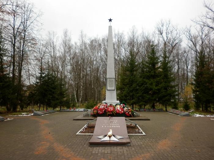 Фото чудово новгородская область