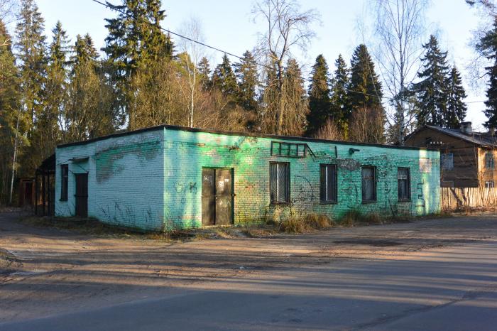 Купить Магазин В Ленинградской Области