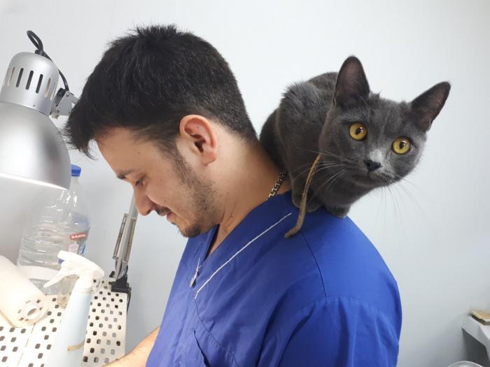 ветеринары казань. ветврач казань. ветеринар рядом. ветеринары казань. ветеринарная клиника птицыных казань.