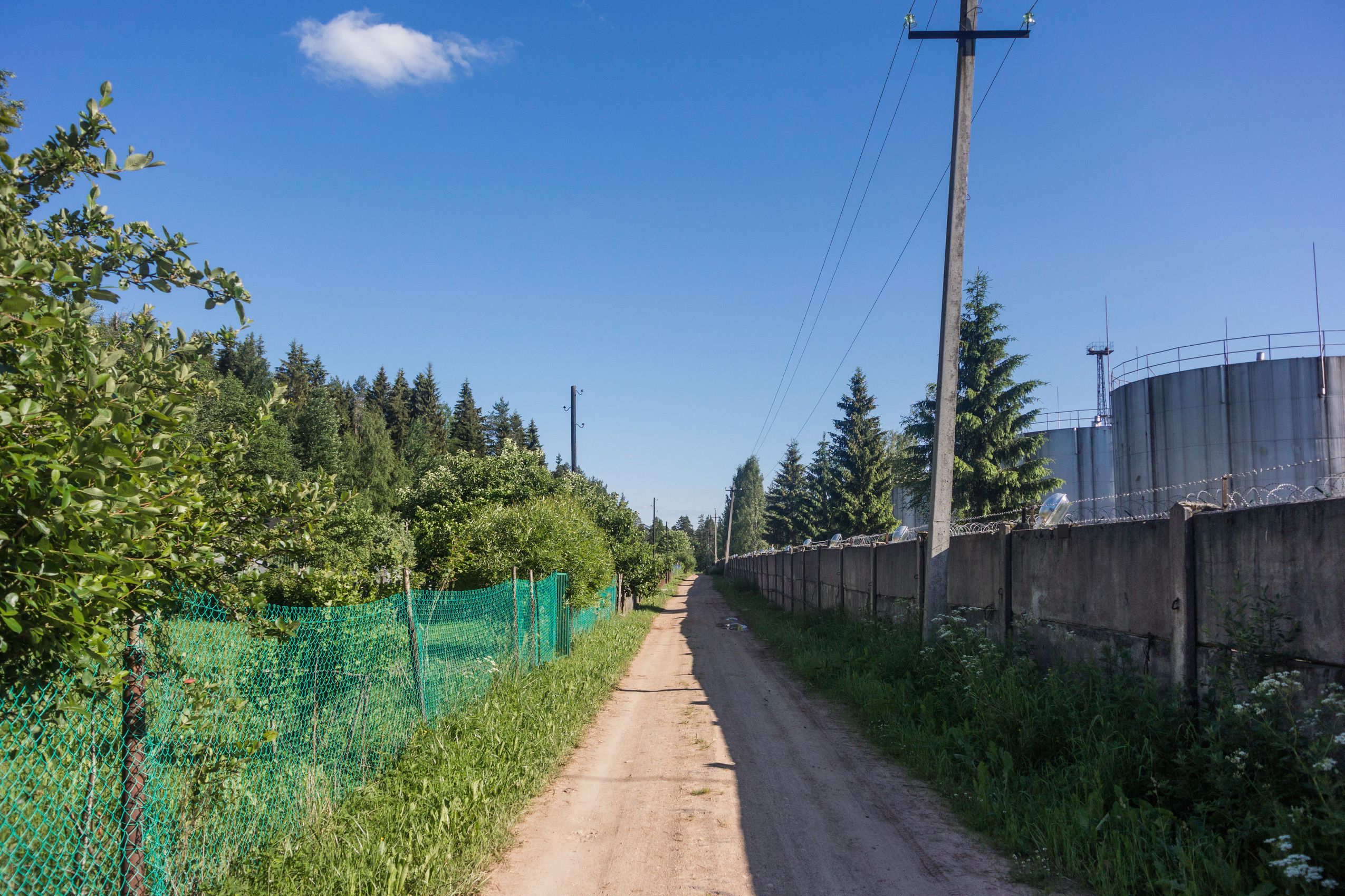 Дружная горка. Комбинат Нева дружная горка. Комбинат Нева Росрезерва. Госрезерв дружная горка. Деревня дружная горка.