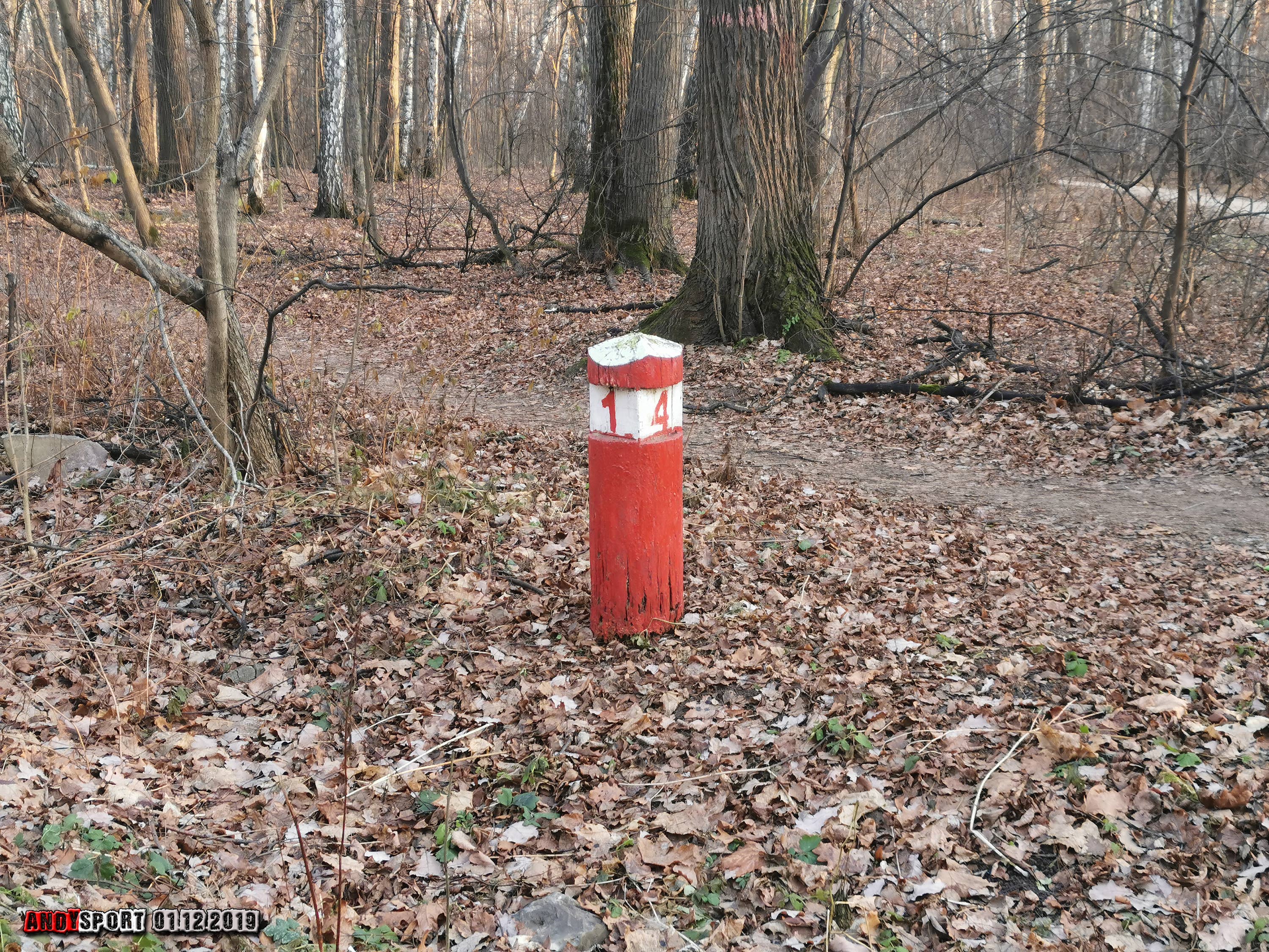 Столбовая красный. Квартальный столб. Красный столб. Квартал в лесу. Квартальный столб в лесу.