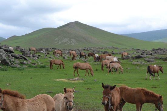 Orkhon Valley - UNESCO World Heritage Site