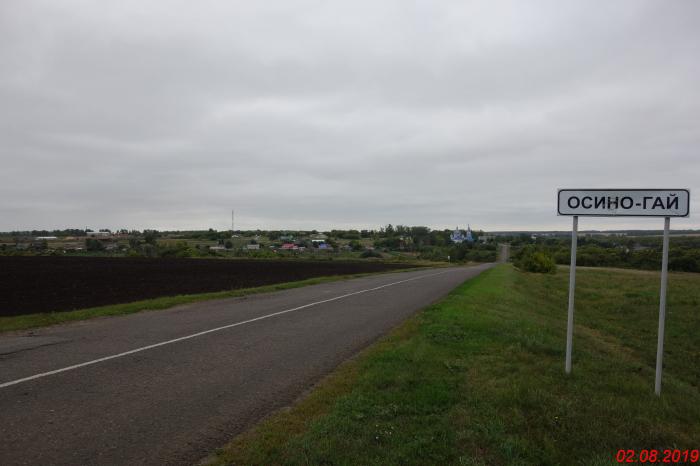 Село гаи. Село Осино Гай Тамбовской области. Деревне Осинов Гай, Гавриловского района Тамбовской области. Село Осинов Гай. Осино Гай на карте Тамбовской.