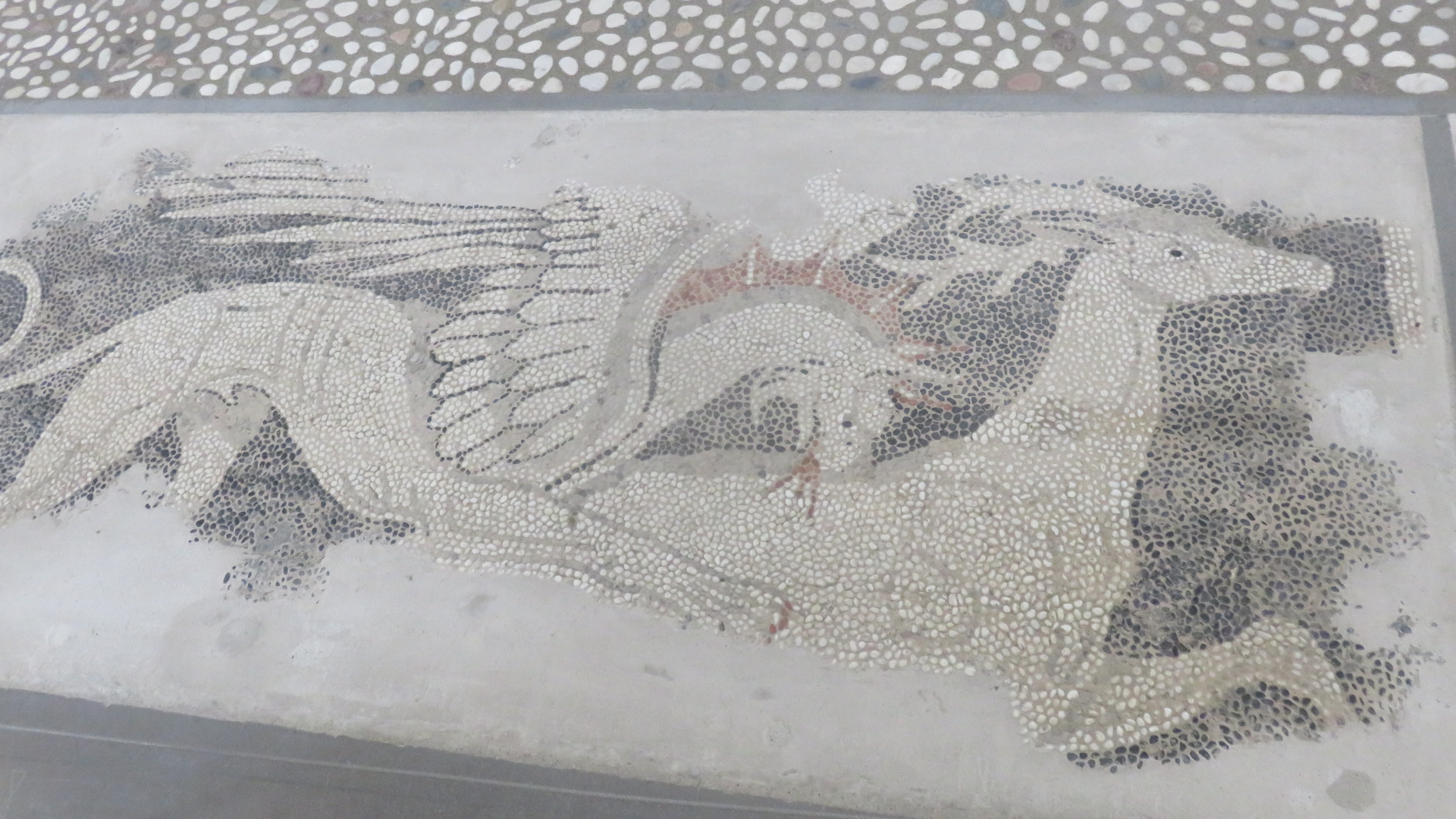 Archaeological museum of pella pella