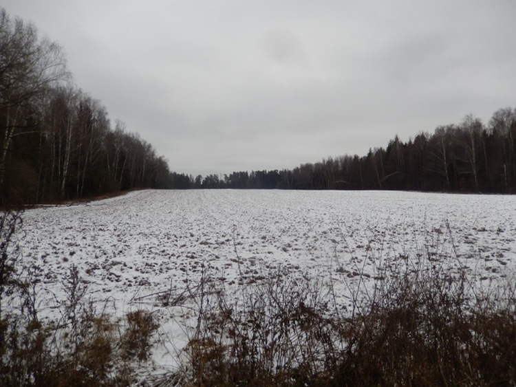 Agricultural field