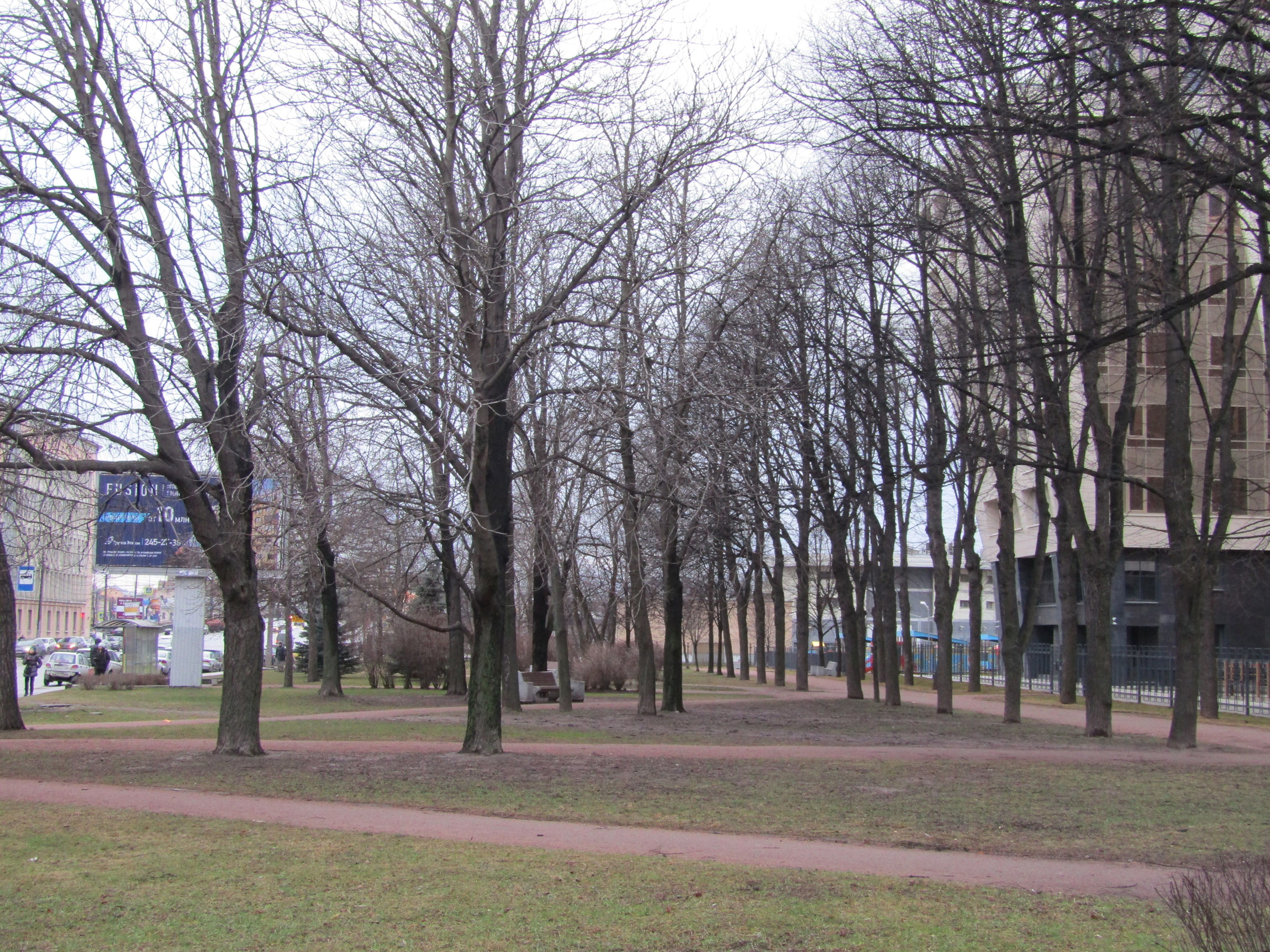 Выборгский сад адрес. Выборгский сад СПБ. Крапивный сад Выборгский.