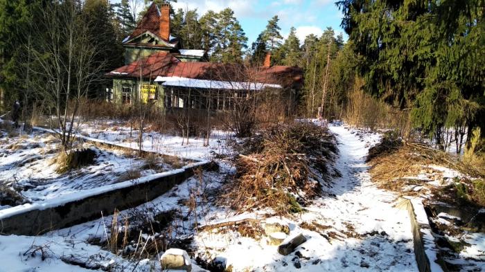 Погода в вырице на 10. Усадьба Белинского Вырица. Княжеская Долина в Вырице. Вырица дачи Модерн. Вырица Ленинградская область.