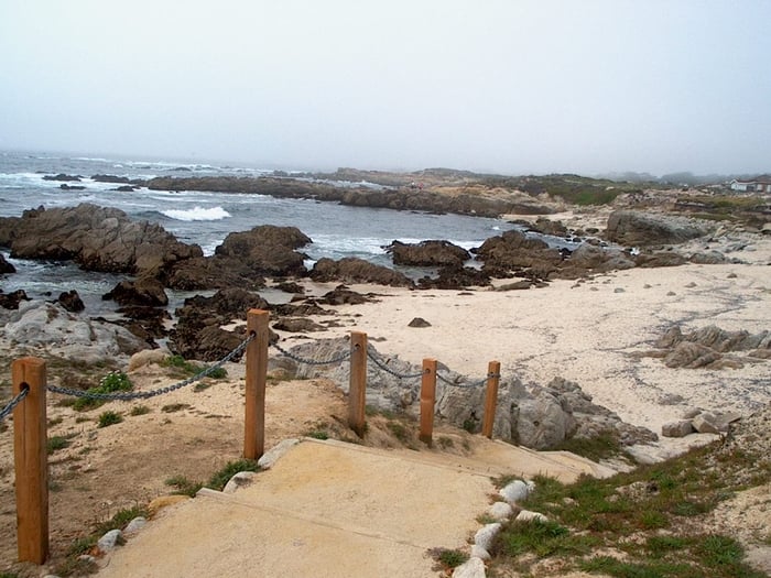 Asilomar Dunes Boardwalk Area - Pacific Grove, California