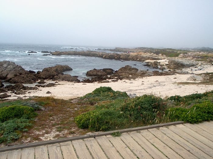 Asilomar Dunes Boardwalk Area - Pacific Grove, California