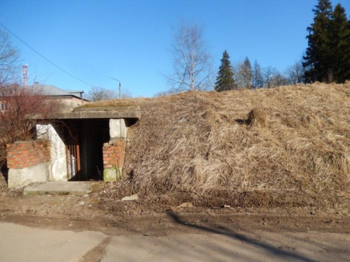 Ленинский городской округ рабочий поселок