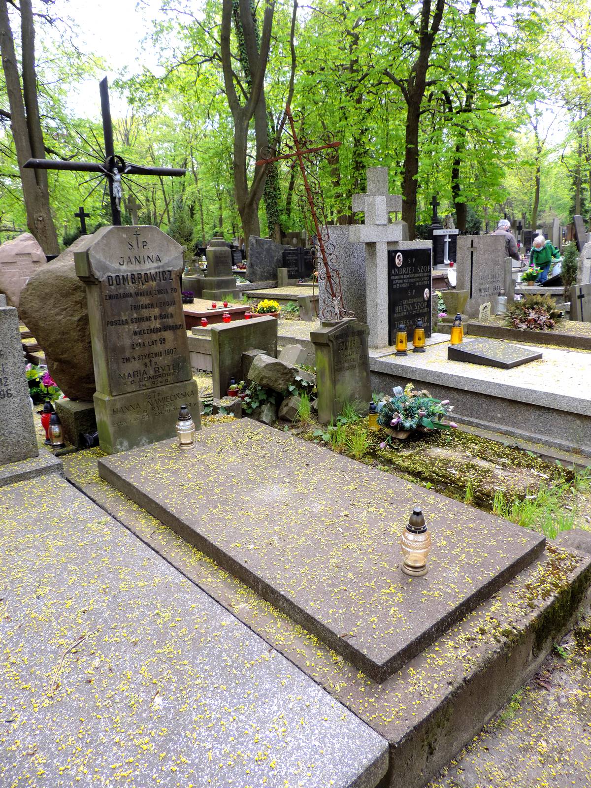 The grave of Franciszka Ozimińska - Warsaw | cross