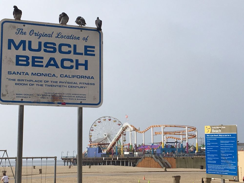 Original Muscle Beachgymnastics training park Santa Monica