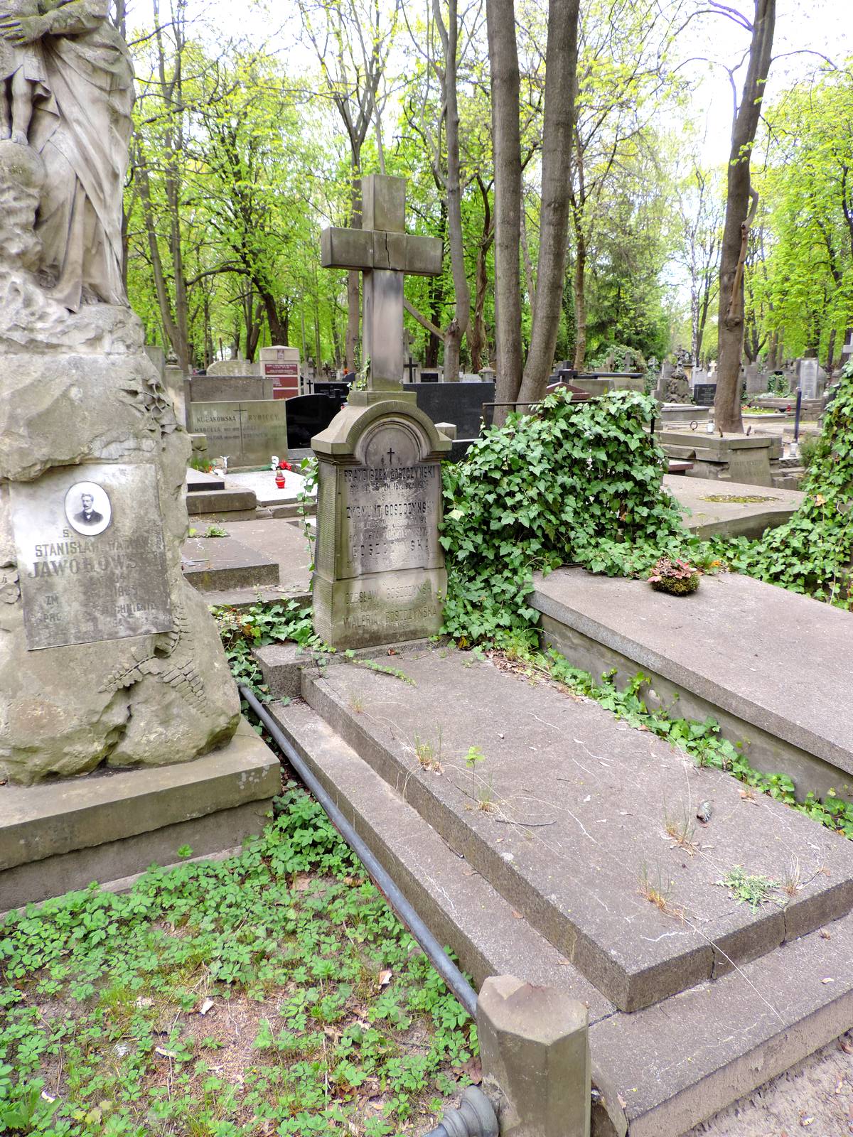 The grave of Franciszek Goszczyński - Warsaw