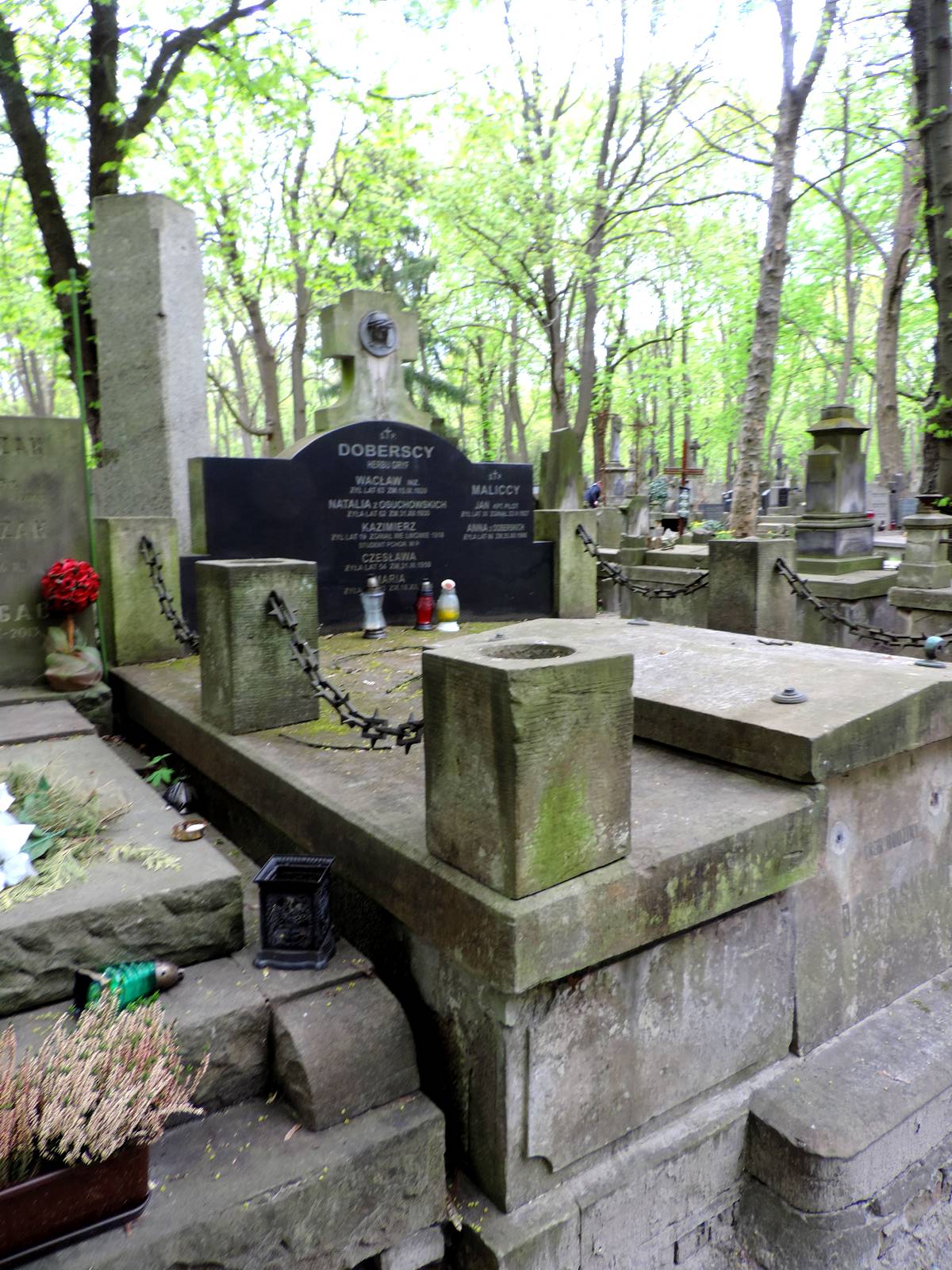 The grave of Doberski and Malicki family - Warsaw