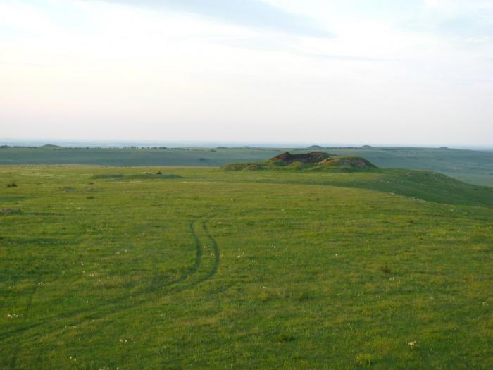 Скифские курганы