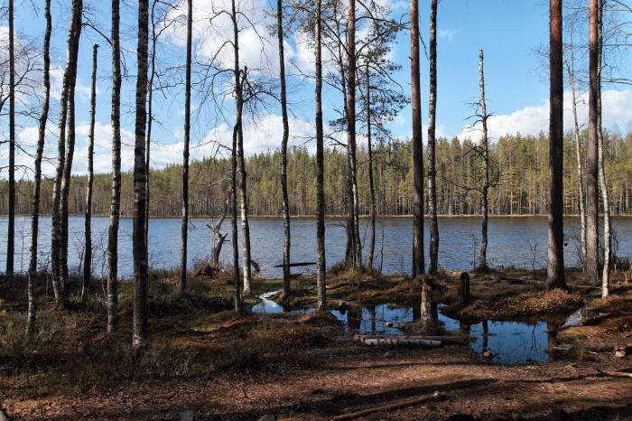 Сарженское озеро пляж