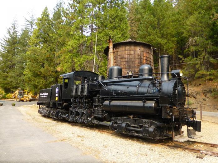 Willamette Shay - Steam Locomotive