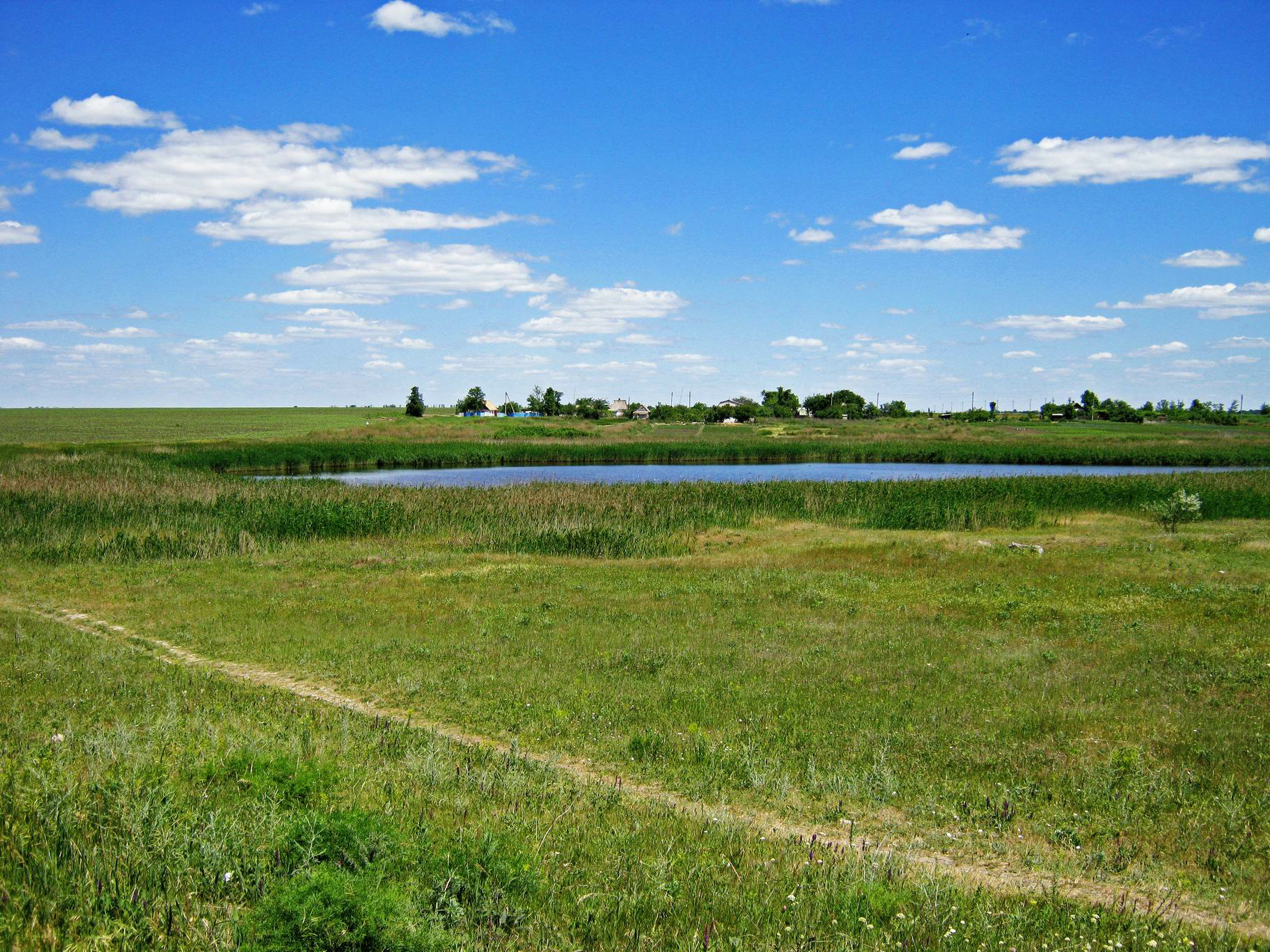 Новопокровка. Село Новопокровка Красногвардейский район. С Новопокровка Днепропетровской обл. Село Пичугино. Село веселое Криворожский район.