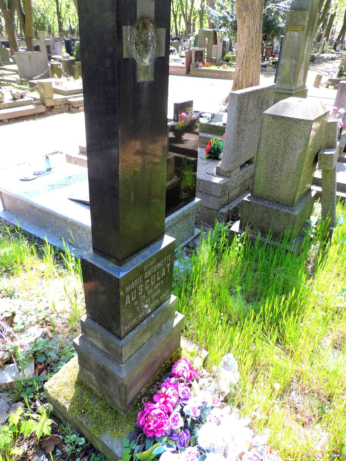 The grave of Marie Antoinette Asculat - Warsaw