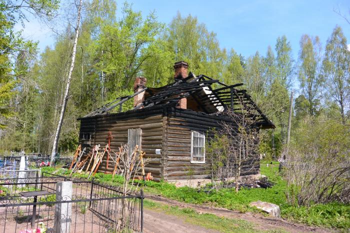 Дружная горка. База отдыха в дружной Горке. Дружная горка лес. Стратегический объект дружная горка. Оперетта «дружная горка.