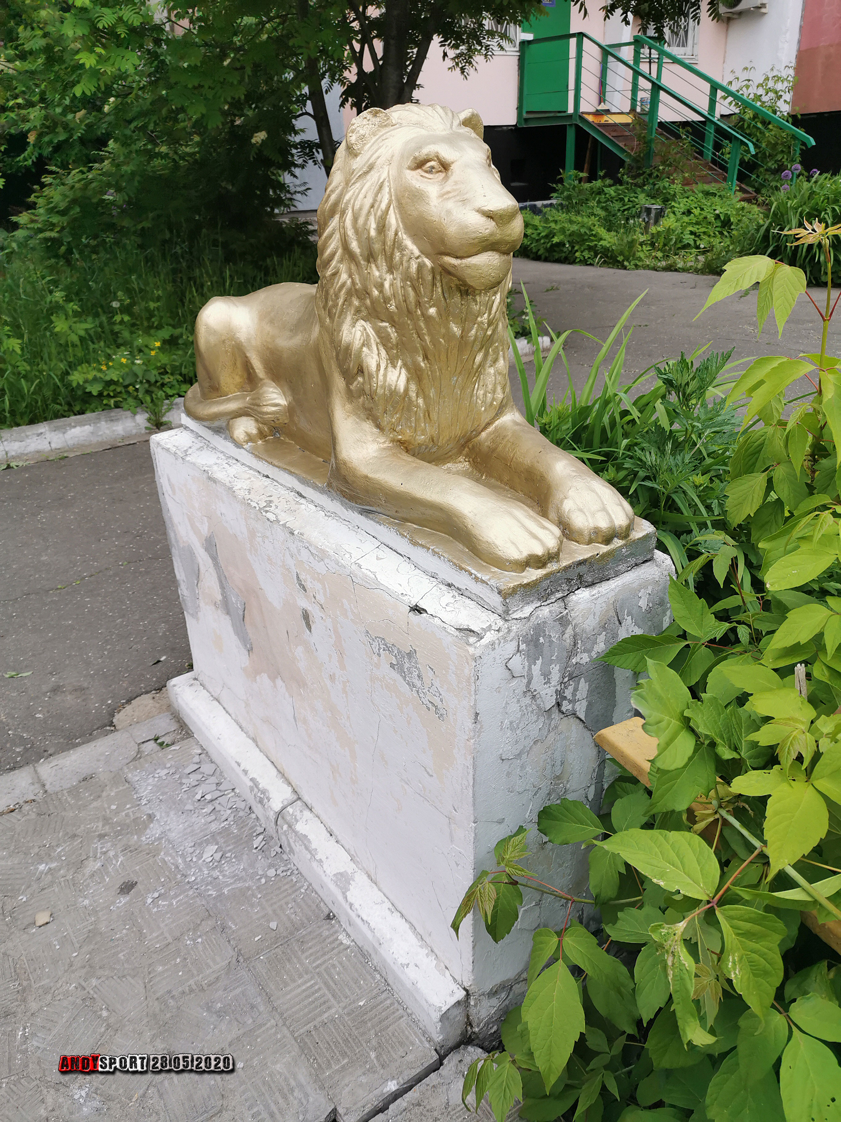 54 года лев москва свао. Львы в Москве скульптуры. Статуя Льва в Москве. Статуи Львов в Москве. Санаторий им Цюрупы львы статуи.