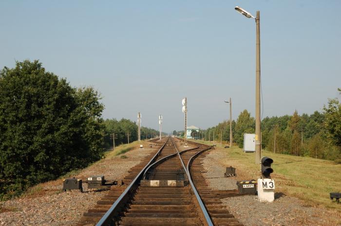 мышанка. мышанка школа петриковский район. река левая боярка. мышанка петриковский район военный городок. речка мышанка барановичи.