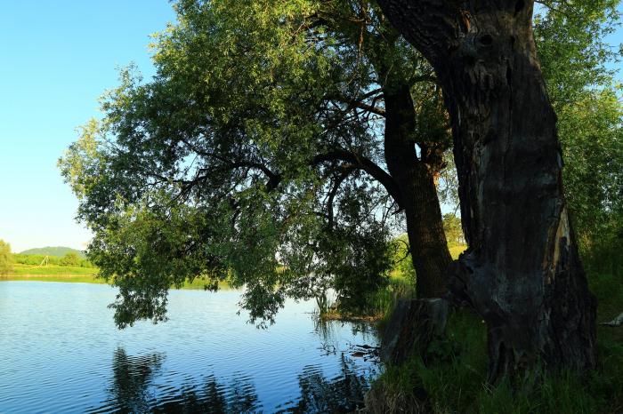 Александровский пруд оренбург