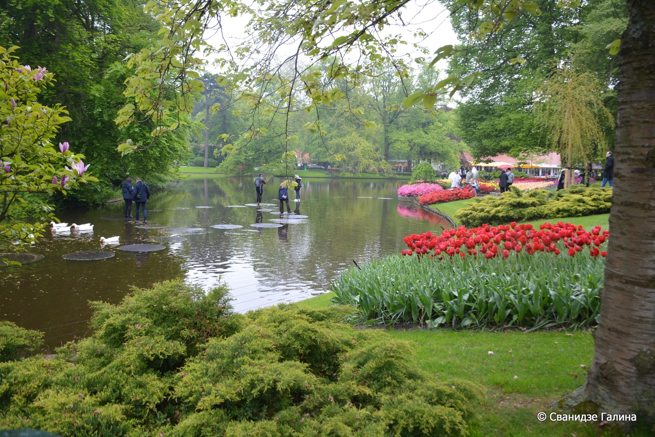 Keukenhof