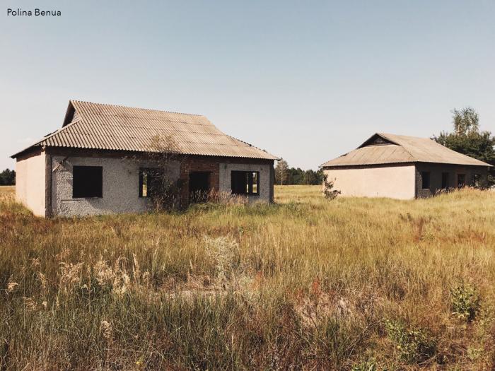 Толстый лес. Село толстый лес Украина. Село толстый лес.