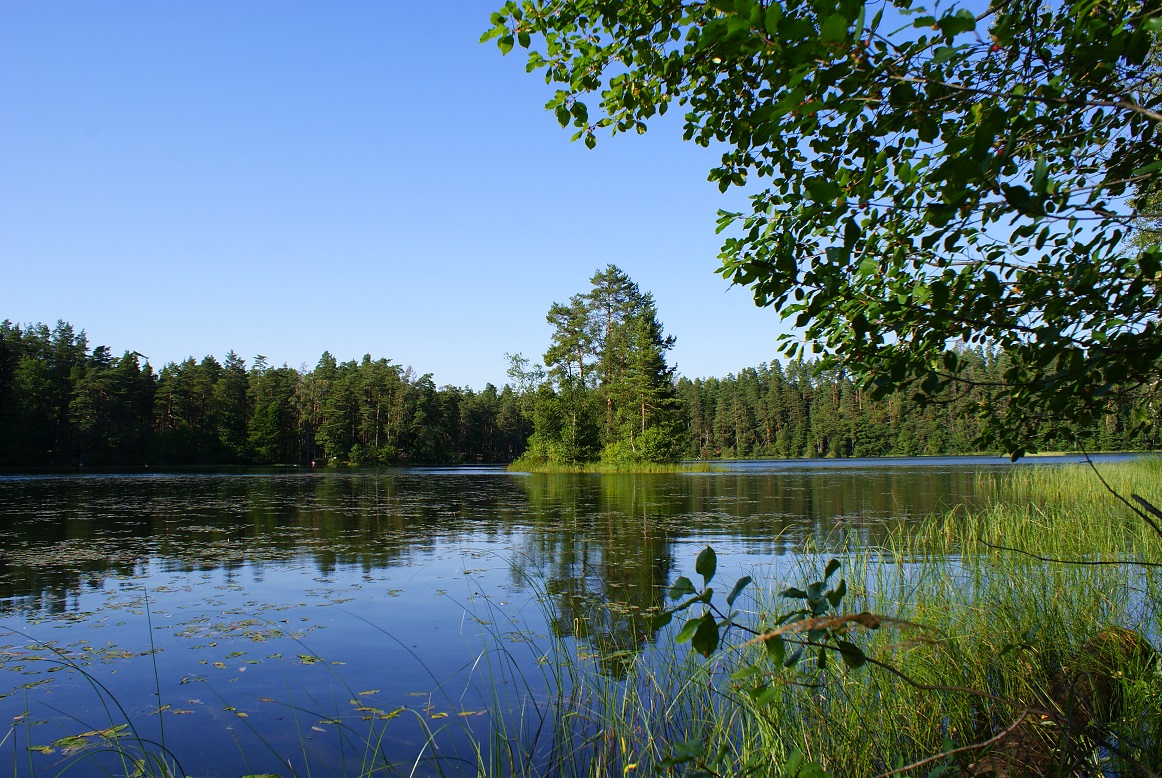 Lake Paukjärv