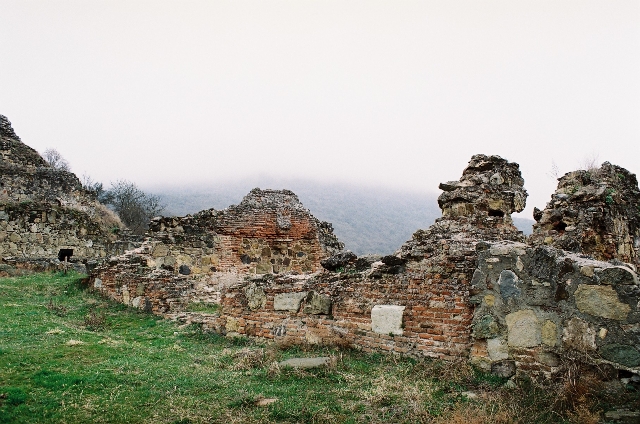 Dmanisi Hominins Fossil Site